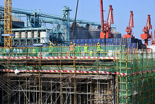 青島國際郵輪港區搶抓施工黃金期，建設按下“快進鍵”，工程勘察穩步推進
